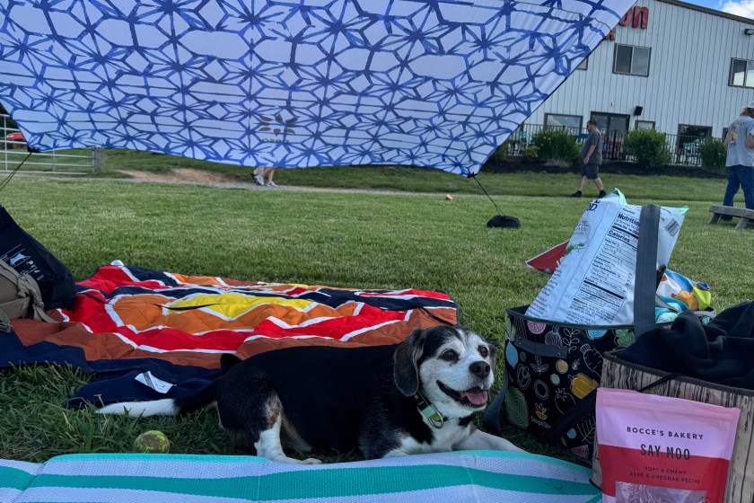 Lake Perfect Picnic Tent or Covering