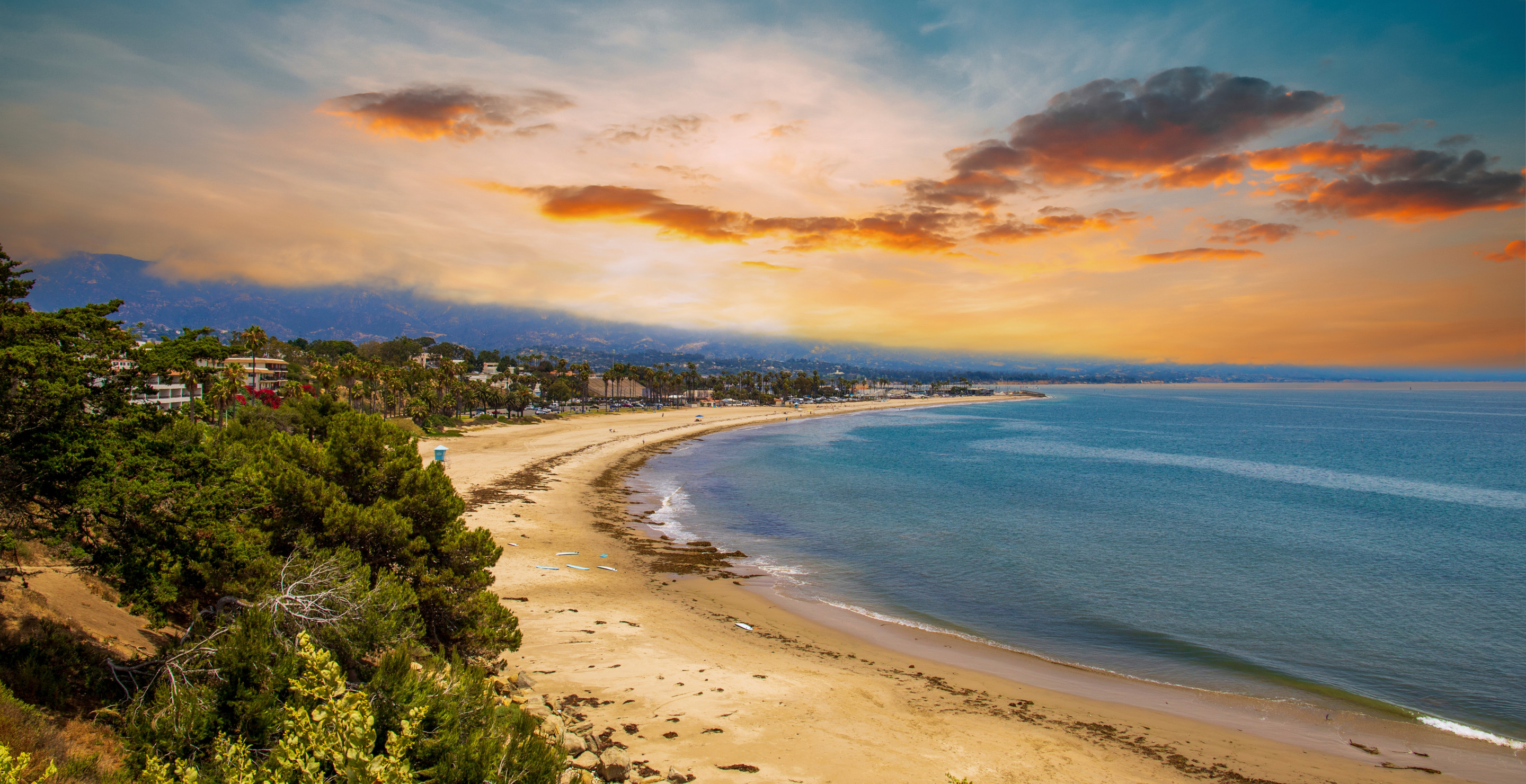 Man Dies Trying To Save His Dog From Drowning At One Of California's Most Dangerous Beaches