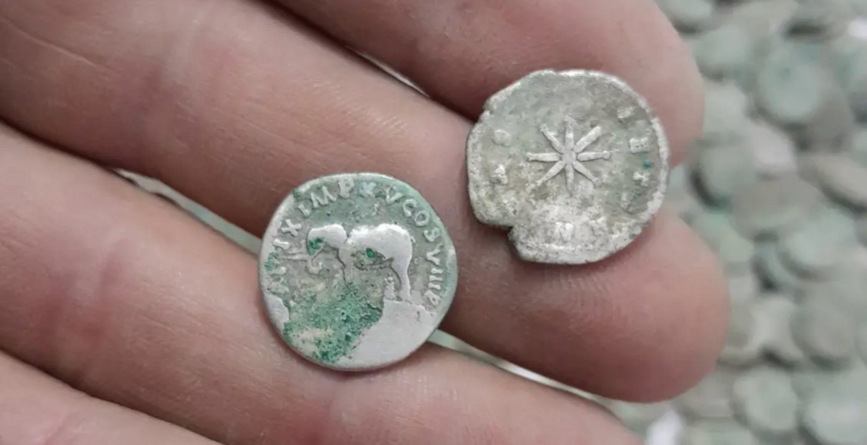 Man Goes For Nature Walk, Stumbles Across Hoard Of Priceless Treasure