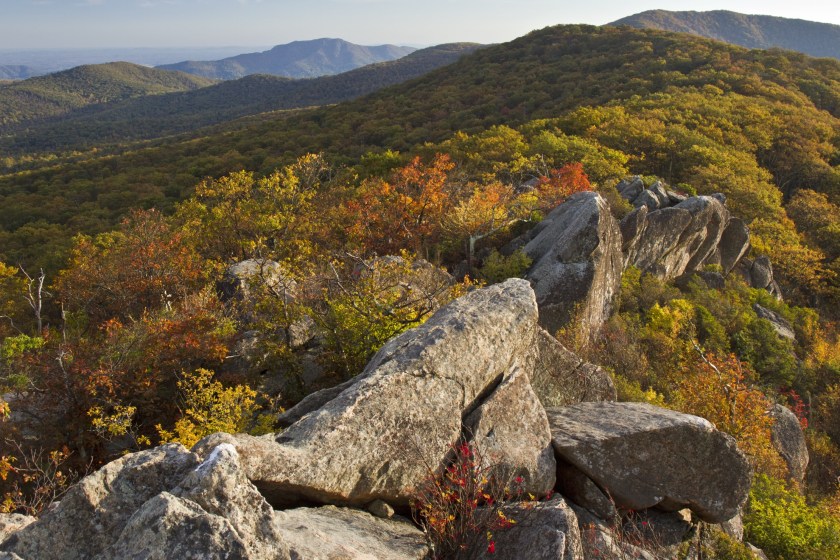 Mary's Rock- Shenandoah National Park