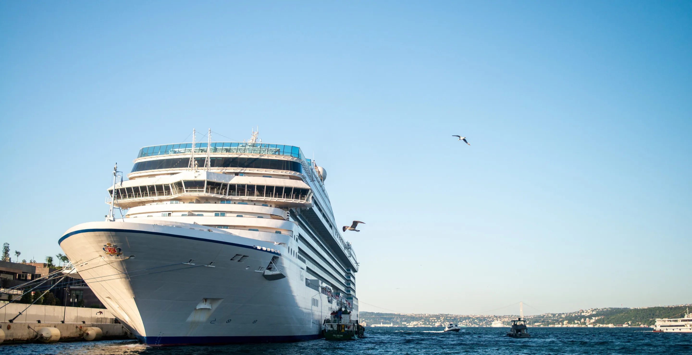 More Than 150 Passengers And Crew Fall Ill As Sickness Sweeps Across 3 Cruise Ships