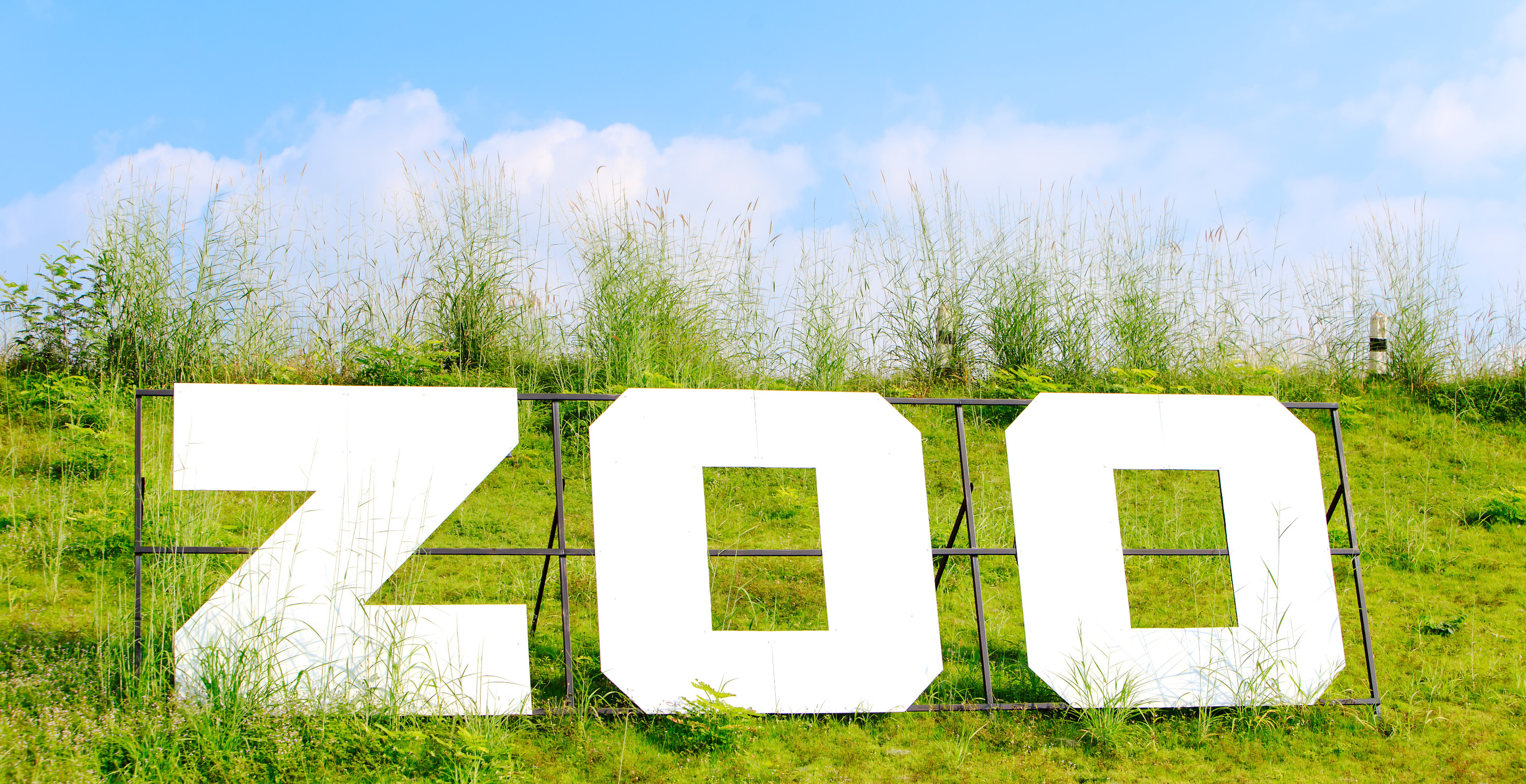 South Carolina Zoo Worker Killed By Animal You Would Never Expect
