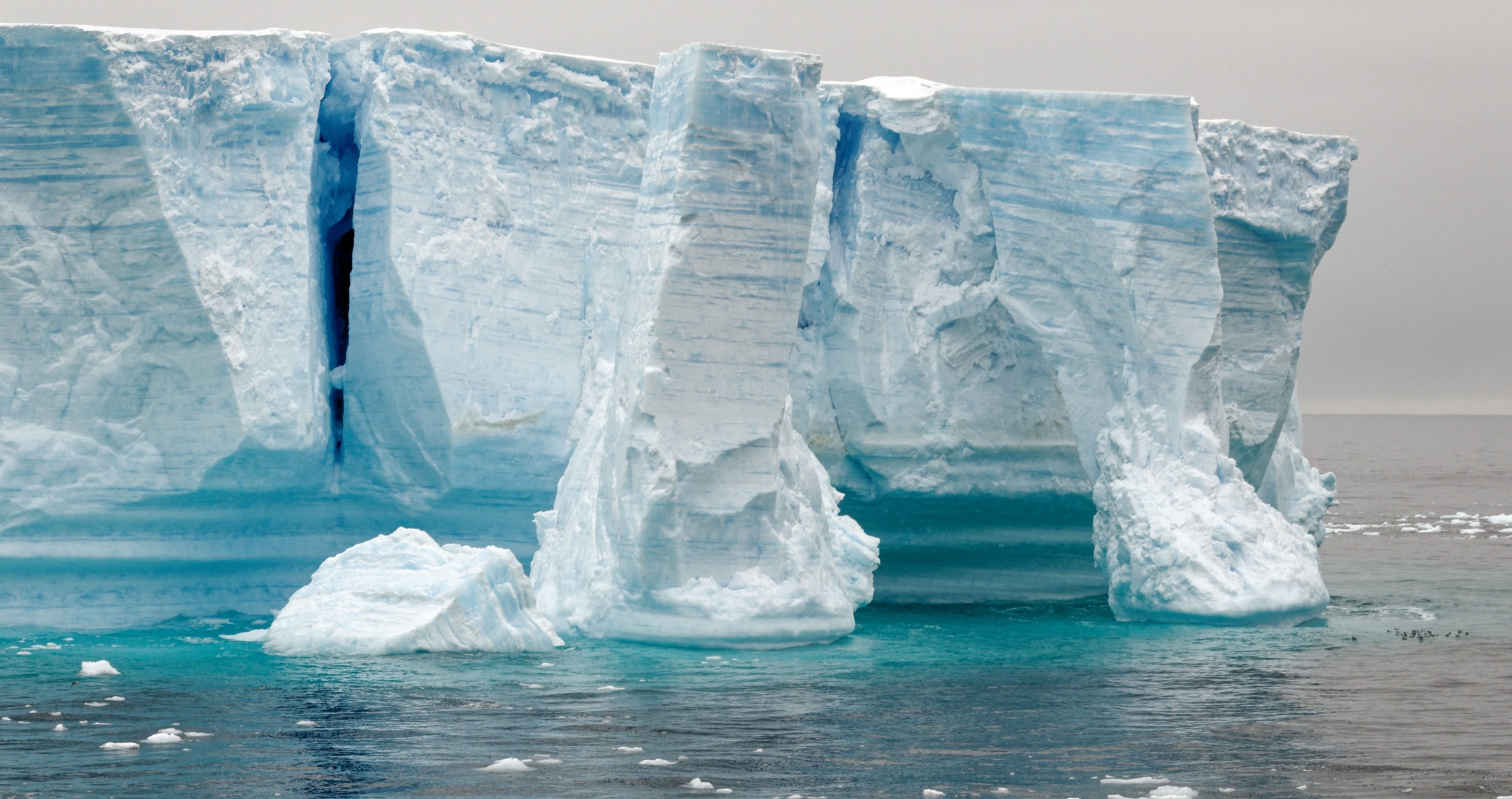 The World's Largest Iceberg Is Breaking- Why That's Bad News For Humans And Animals Alike