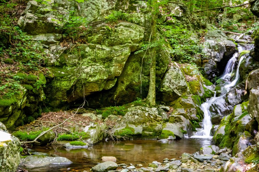 Whiteoak Canyon Falls- Shenandoah National Park