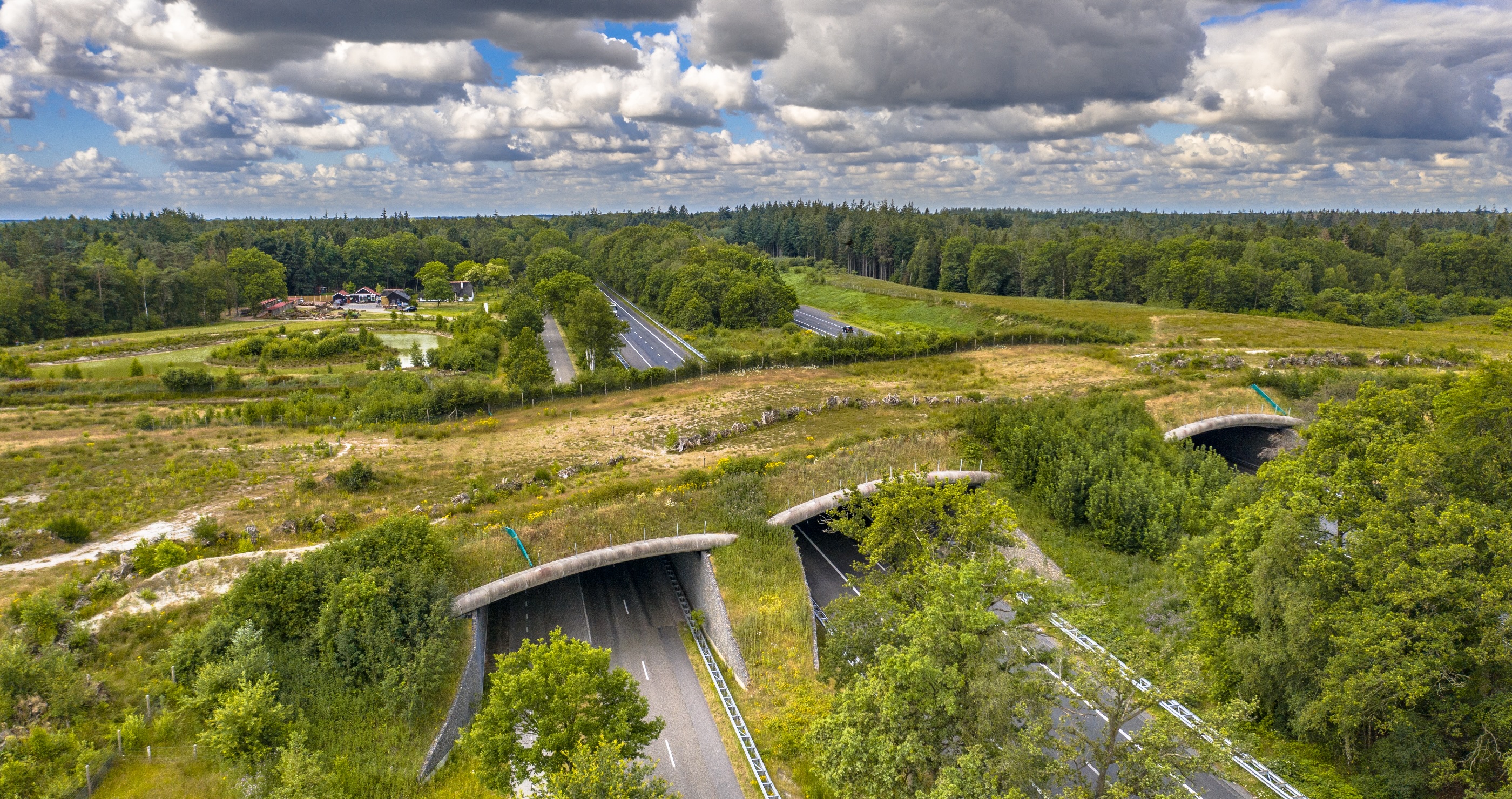 Wild Life Crossing In Dubois project on hold
