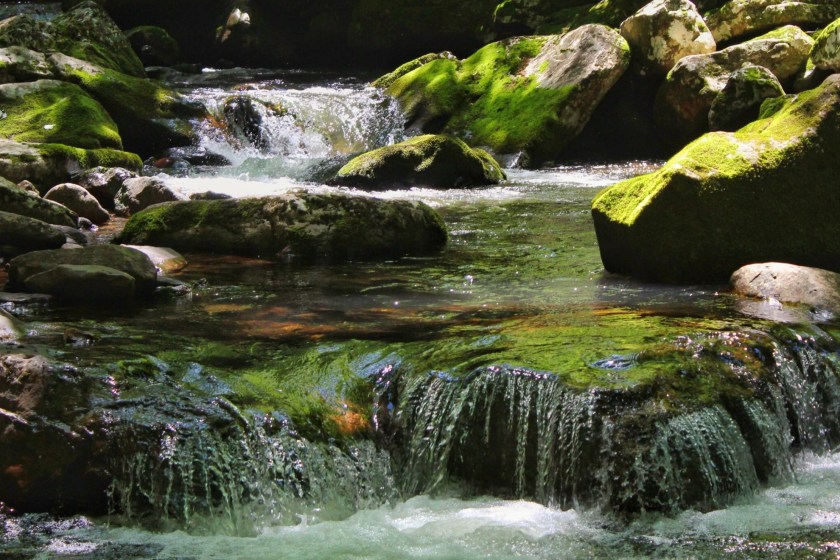 best places to hike in Virginia Cascades National Recreation Trail