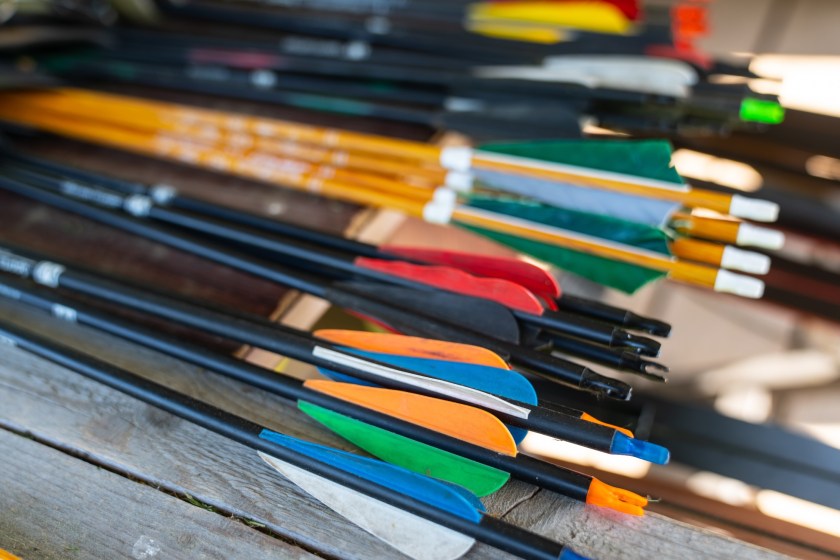 different archery bows