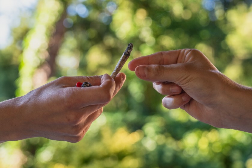 don't land this felony charge in Yellowstone by smoking pot