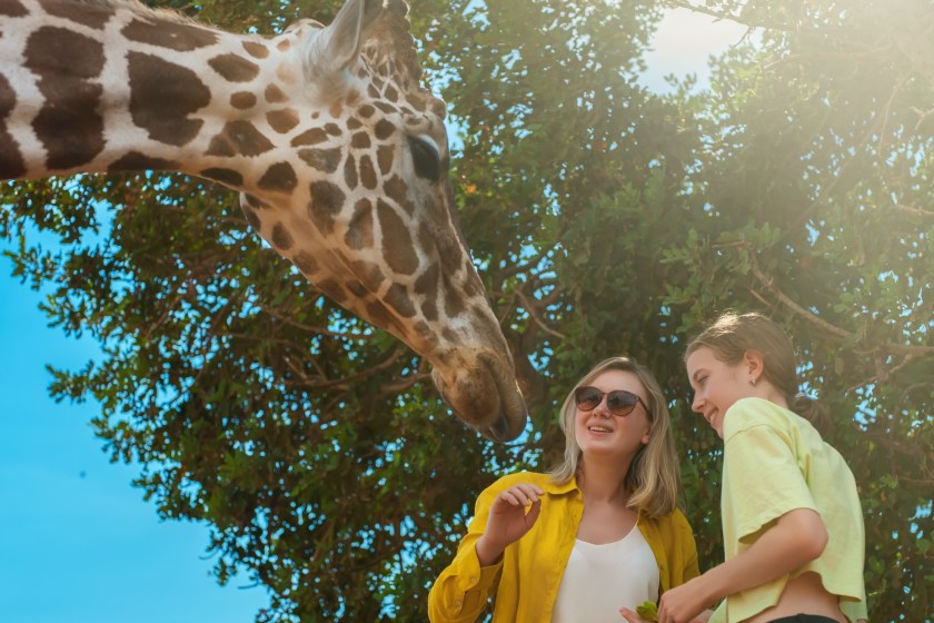 great mother's day ideas for an outdoorsy mom go to the zoo
