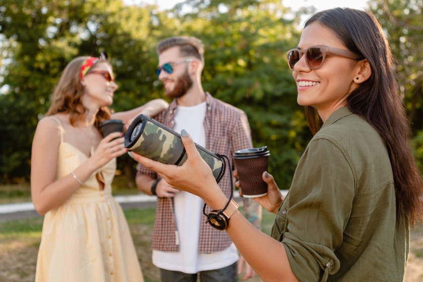 lake perfect picnic portable speaker