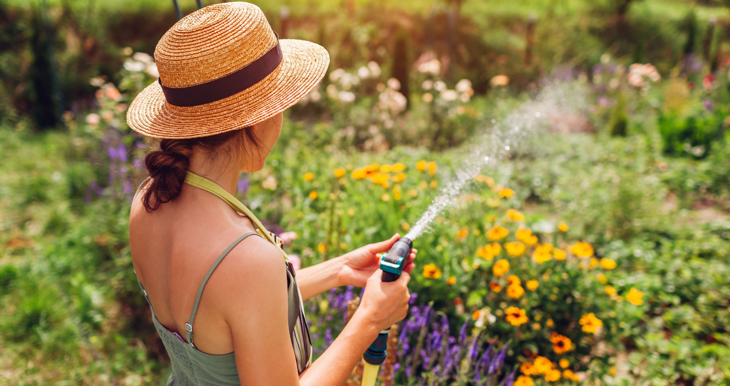 how to naturally rid your garden of common pests