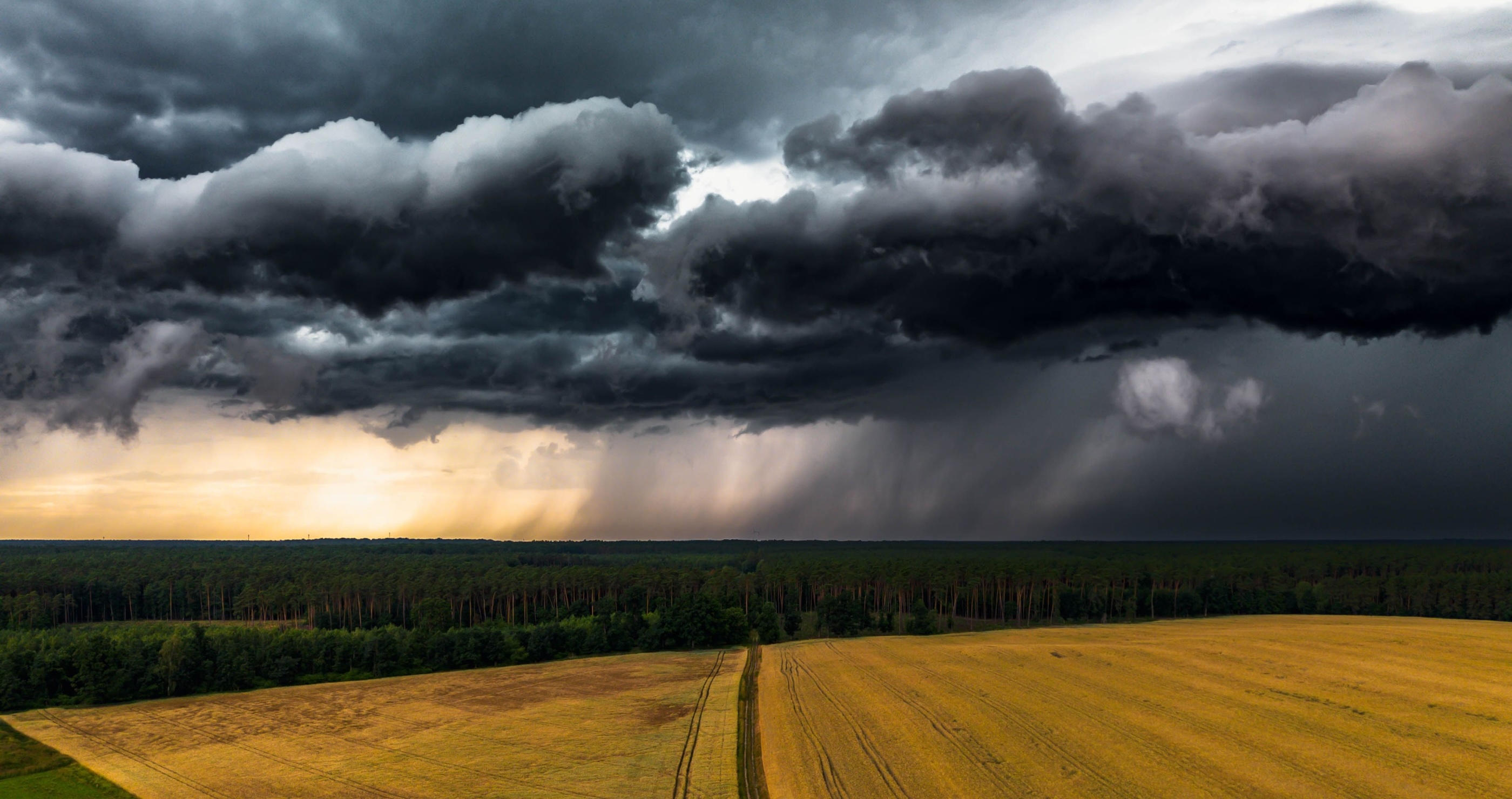 science proves that you can smell when it's about to rain