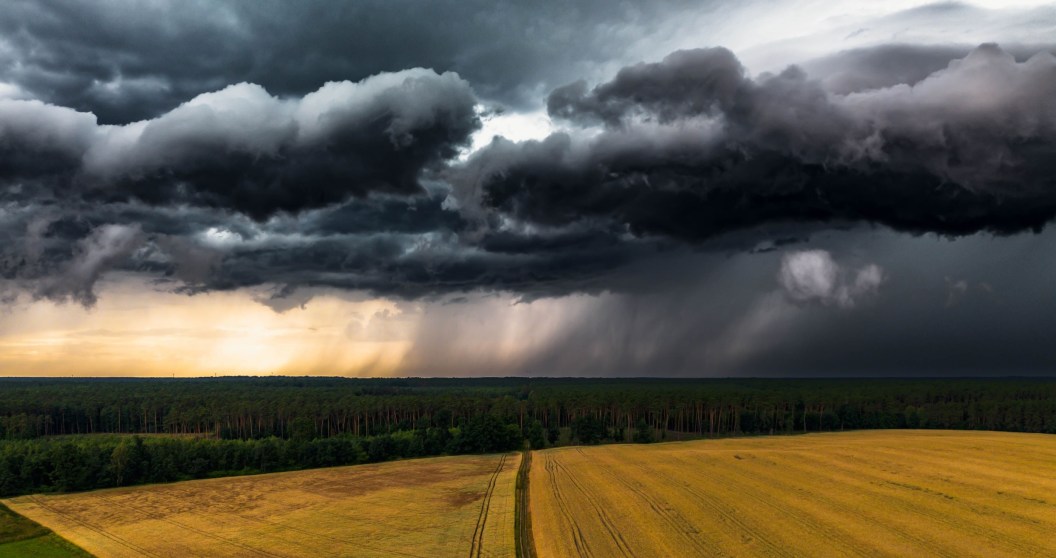 science proves that you can smell when it's about to rain