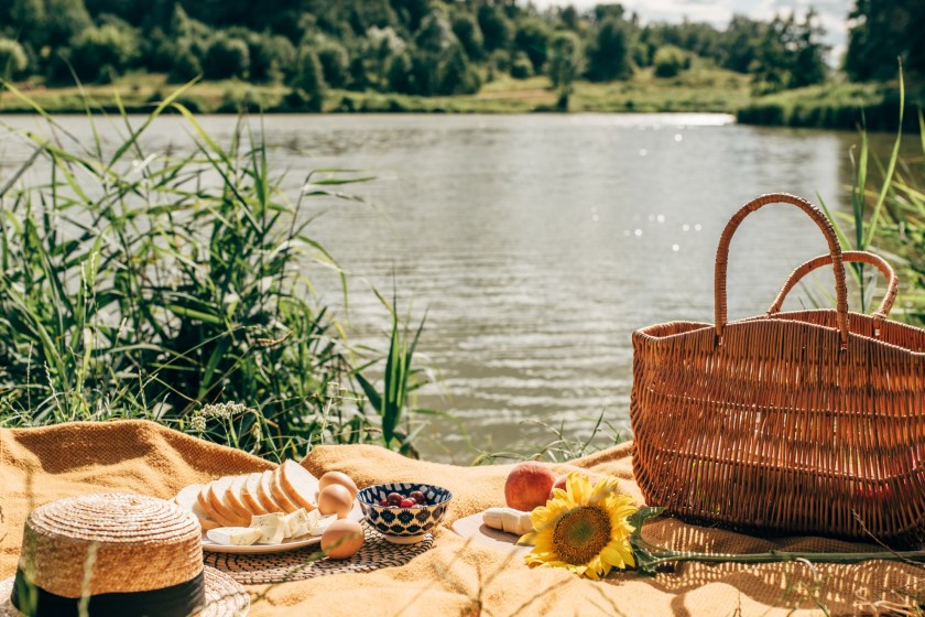 things you can do at a lake have a picnic