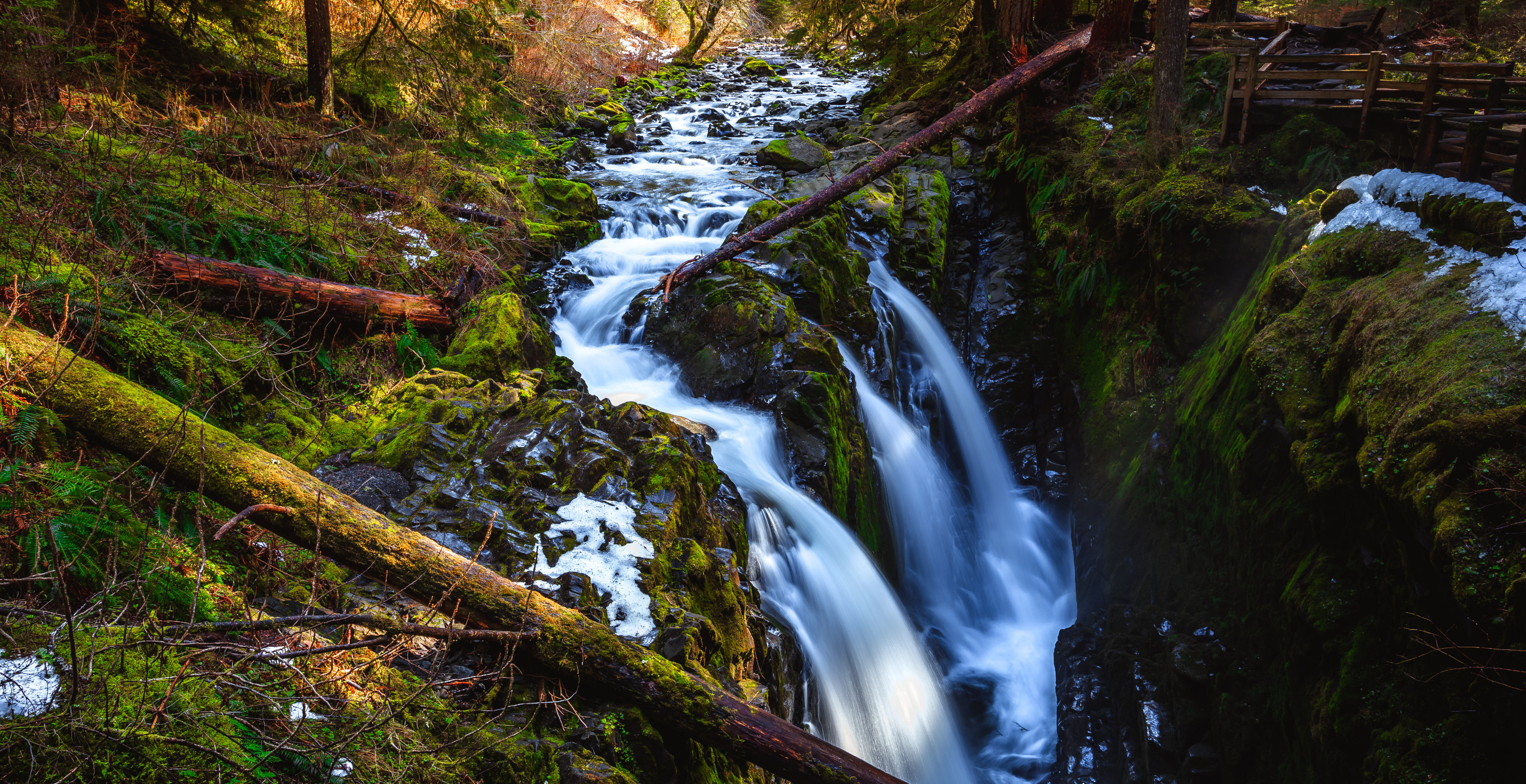 18-Year-Old Dies At Olympic National Park After Falling From 50-Foot Sol Duc Falls