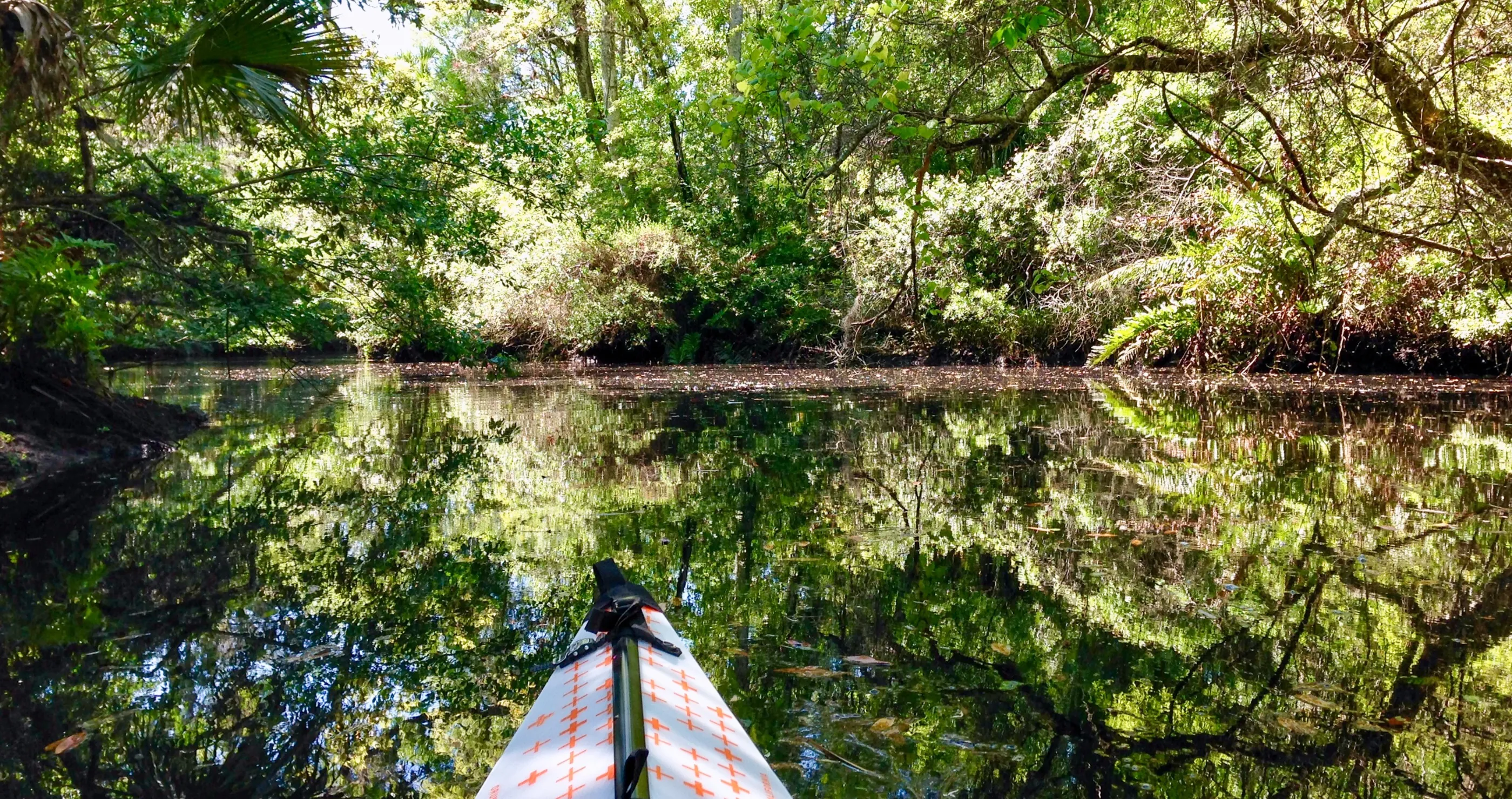 Alligator Turns Aggressive Towards Florida Paddlers