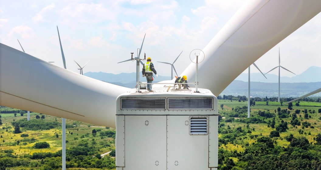Energy Projects Displace Wildlife