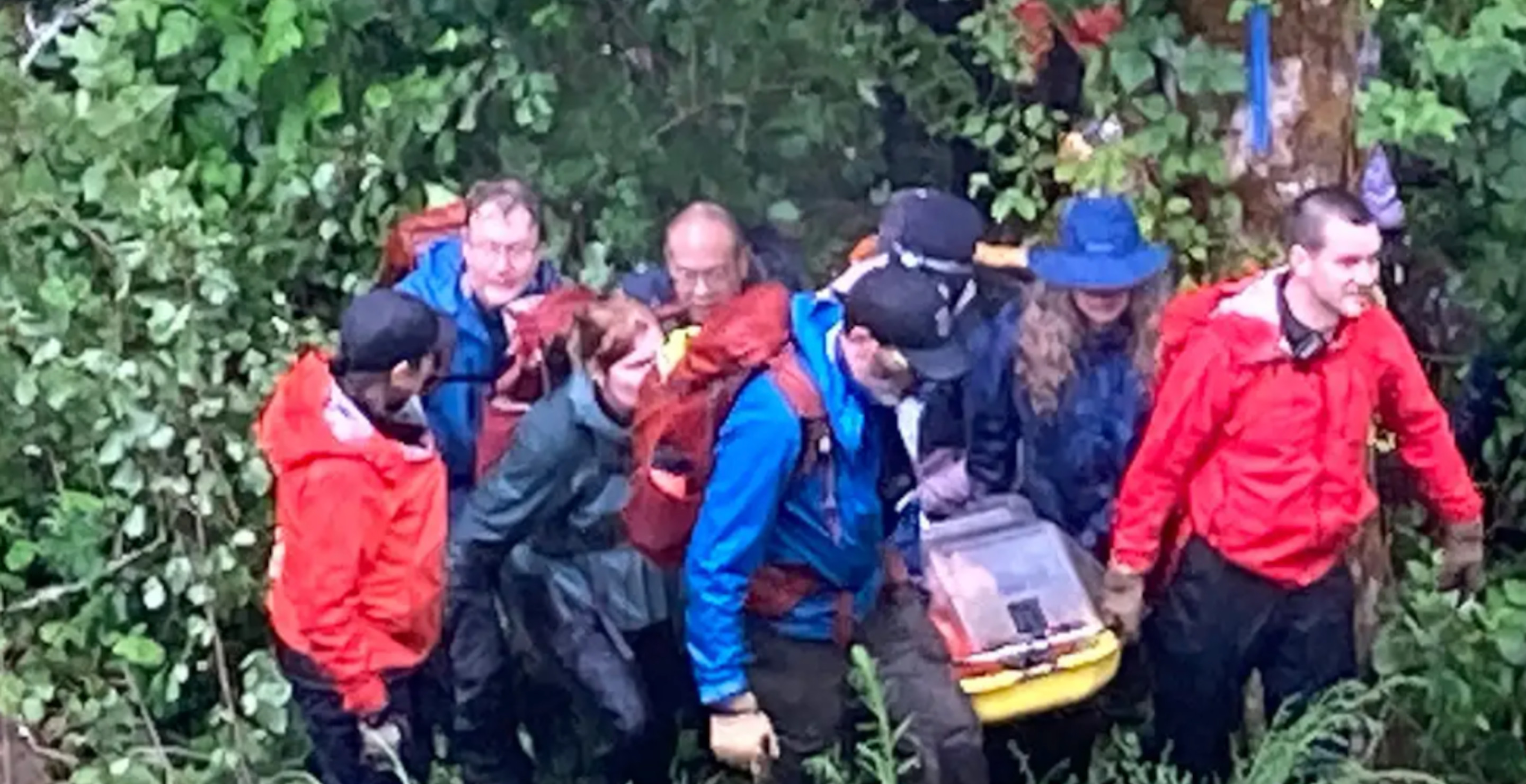 Hiker Becomes Lost For Nearly A Week After Falling From Tree During A Shortcut