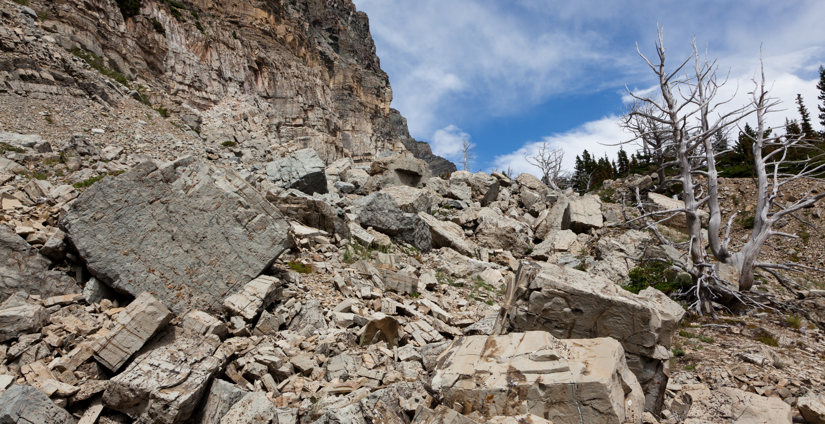 Man Saves His Friend From Dangerous Rockslide But Unable To Save Himself