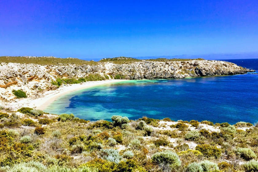Rottsnest Island