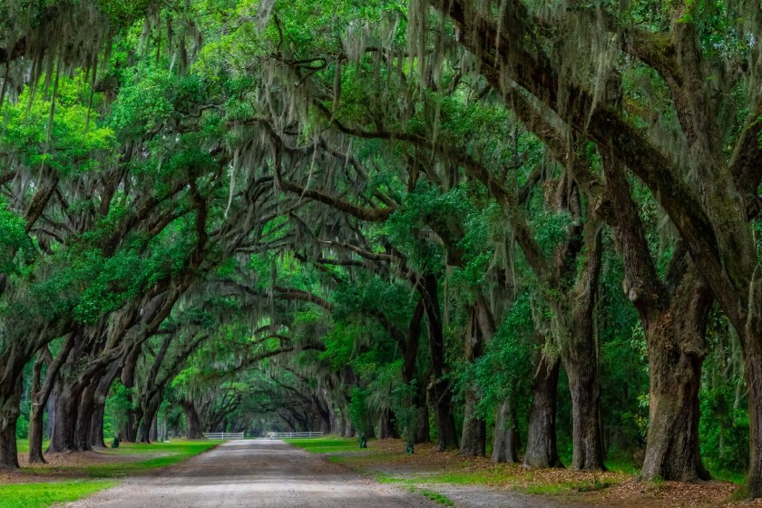Savannah Georgia