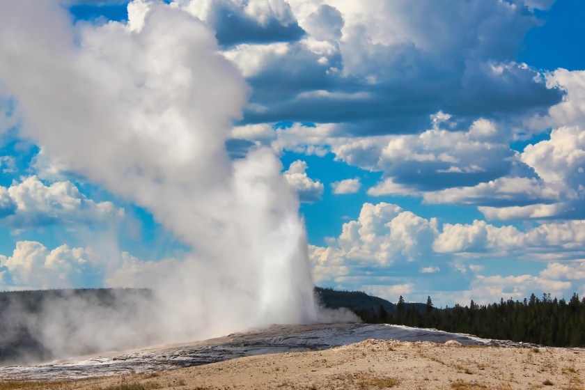 Second Bison Goring Of Yellowstone Happens As A New Jersey Man Gets Gored Near Old Faithful