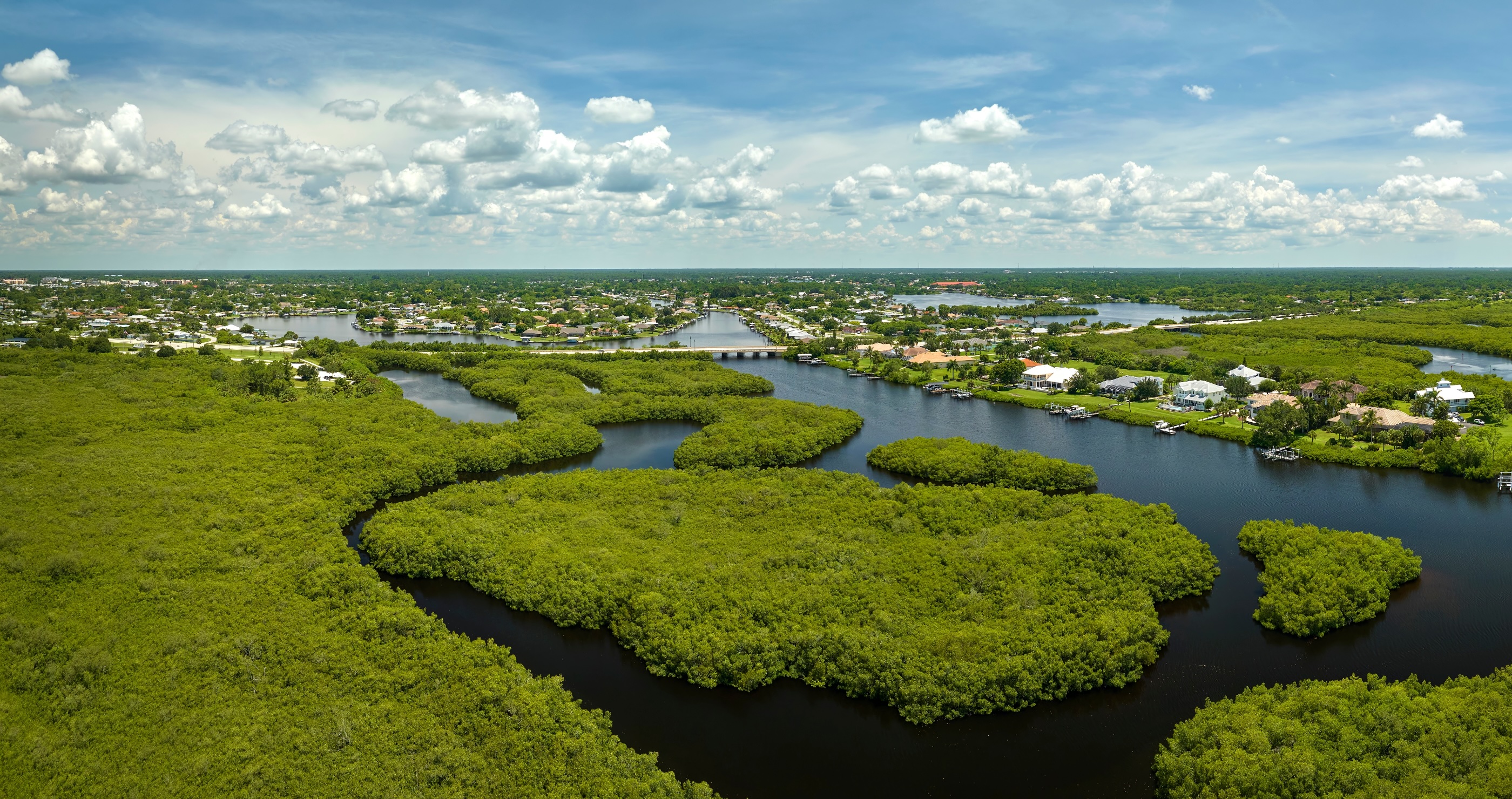 Snake Trackers Removed At Least 20 Tons Of Pythons From The Everglades