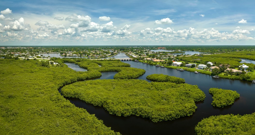 Snake Trackers Removed At Least 20 Tons Of Pythons From The Everglades