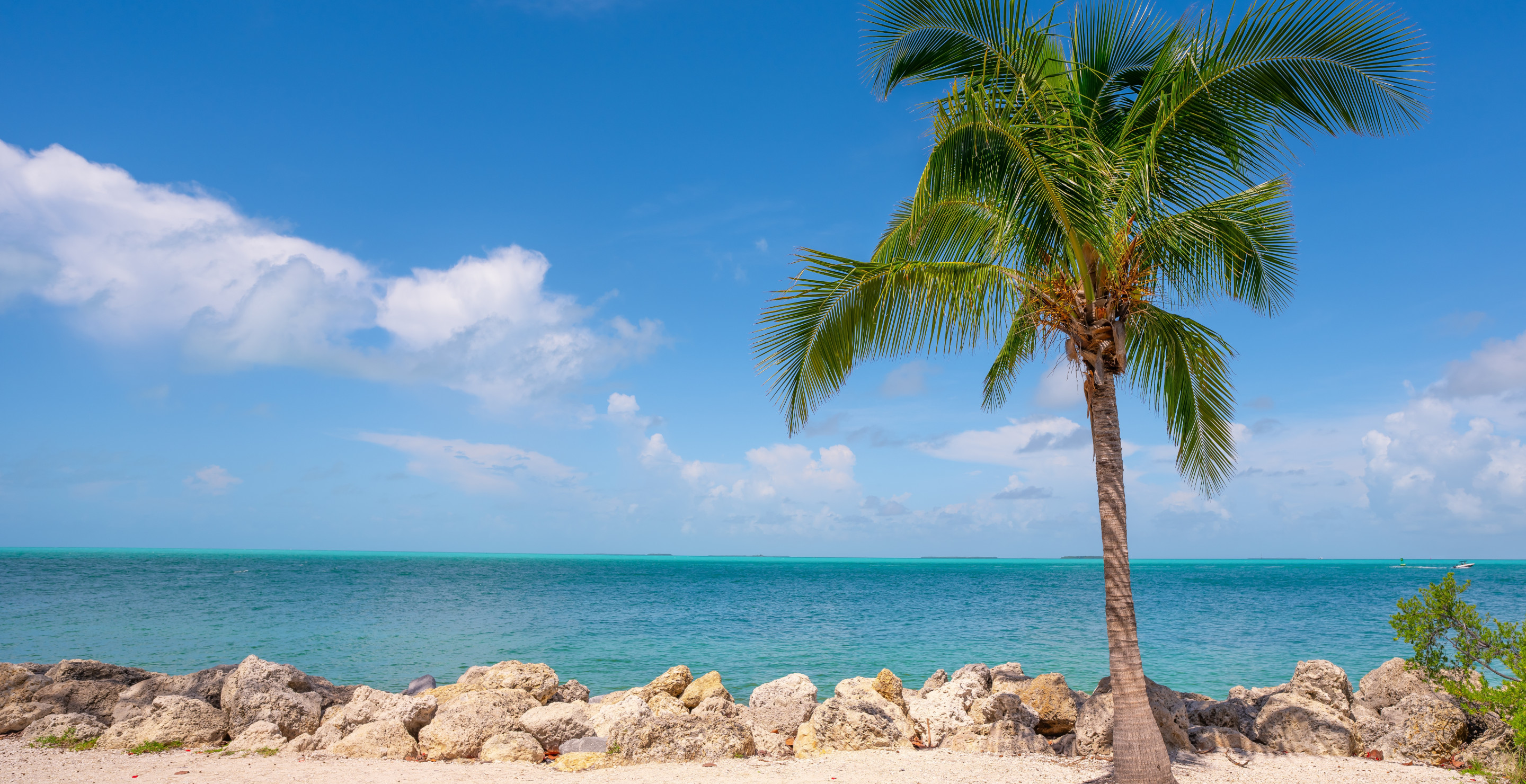 The Most Dangerous Beaches In America Once Again All Come From One State