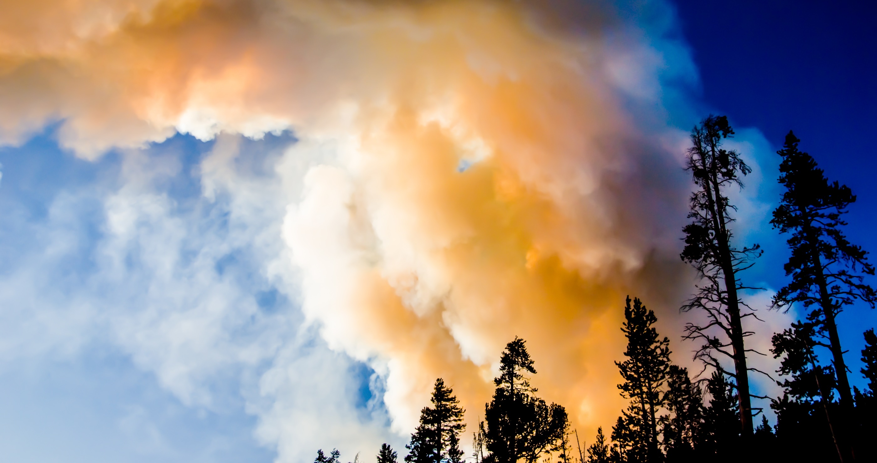 Wyoming Wildfire Efforts Halted Because Someone Decided To Fly A Drone In The Area