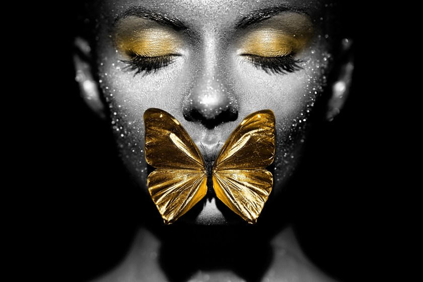 butterfly facts they do not see in black and white