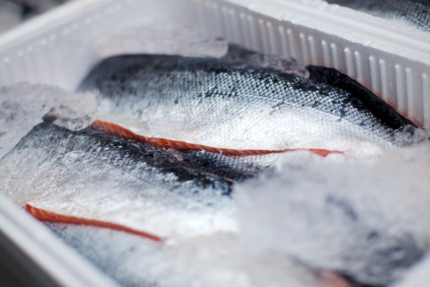 food and drink rules according to TSA seafood on ice