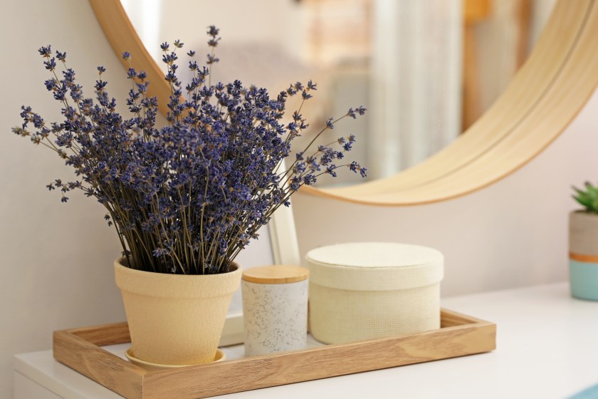 lavender is a houseplant that benefits your health