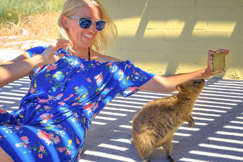 quokka and a tourist