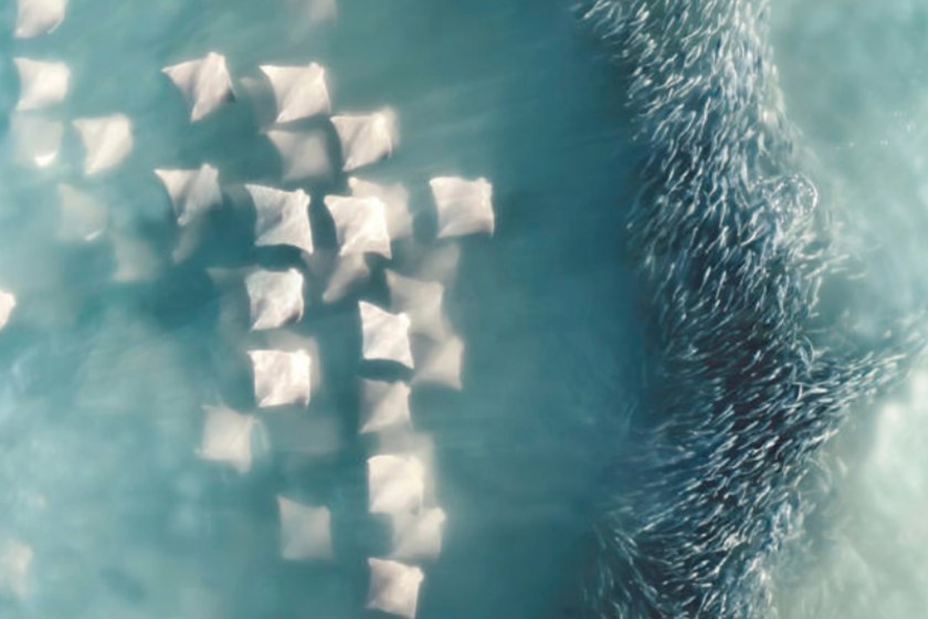 15 Of My Favorite Shots From This Year's International Aerial Photographer of the Year Competition