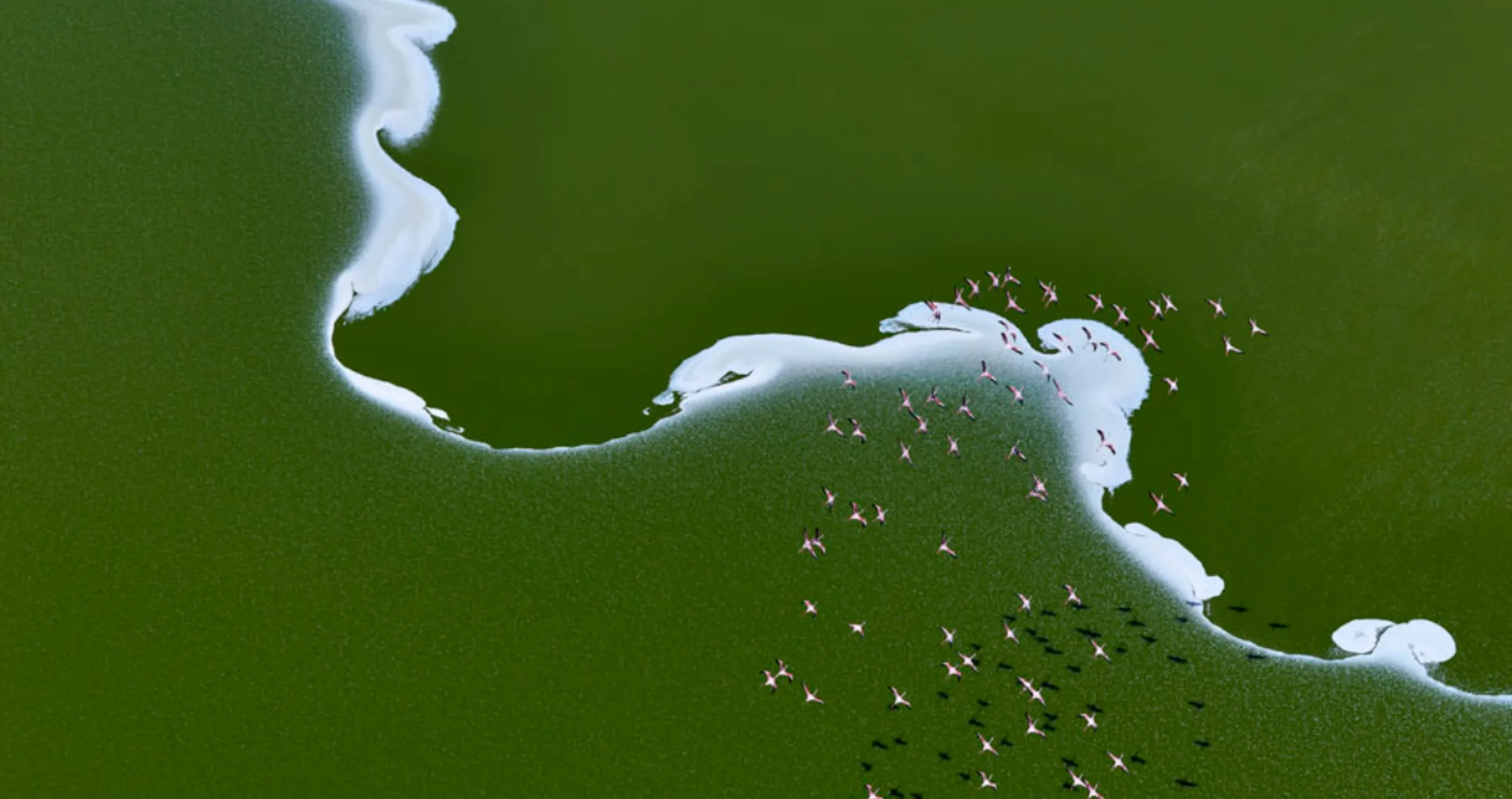 15 Of My Favorite Shots From This Year's International Aerial Photographer of the Year Competition