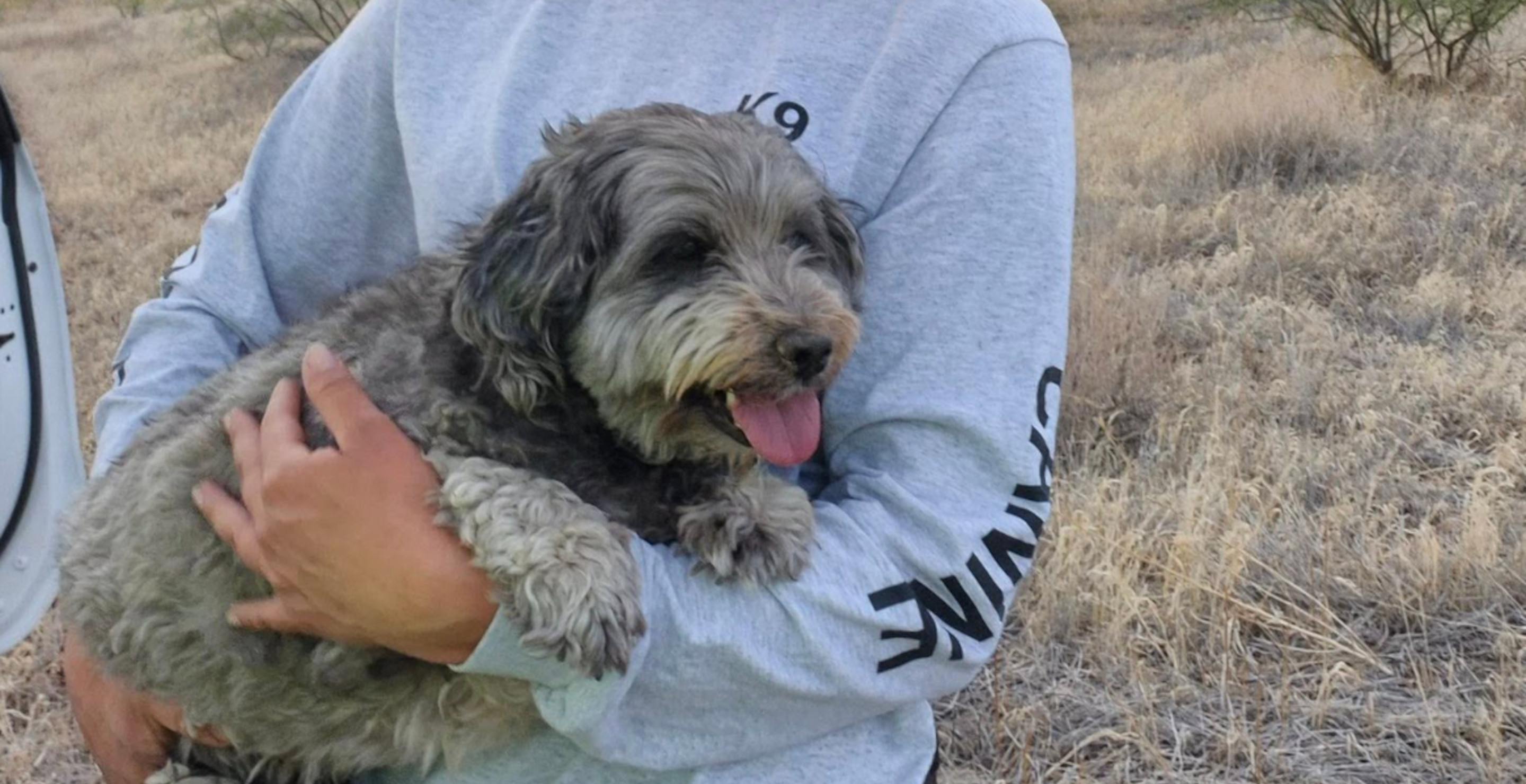 Dog Refused To Leave Owner's Side For Days After He Died In Arizona Wilderness