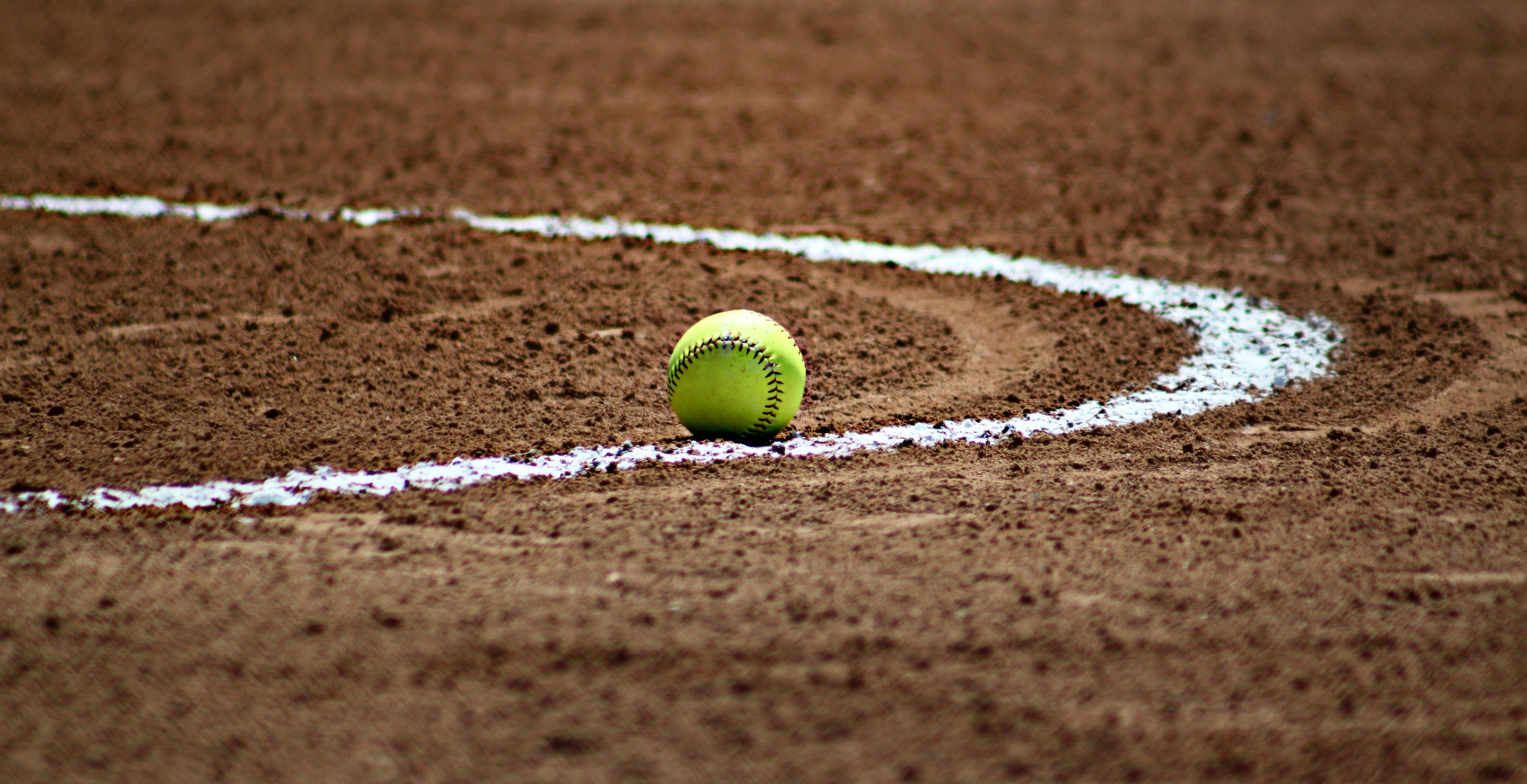 Mom Dies After Tree Falls On Her At Daughter's Softball Camp