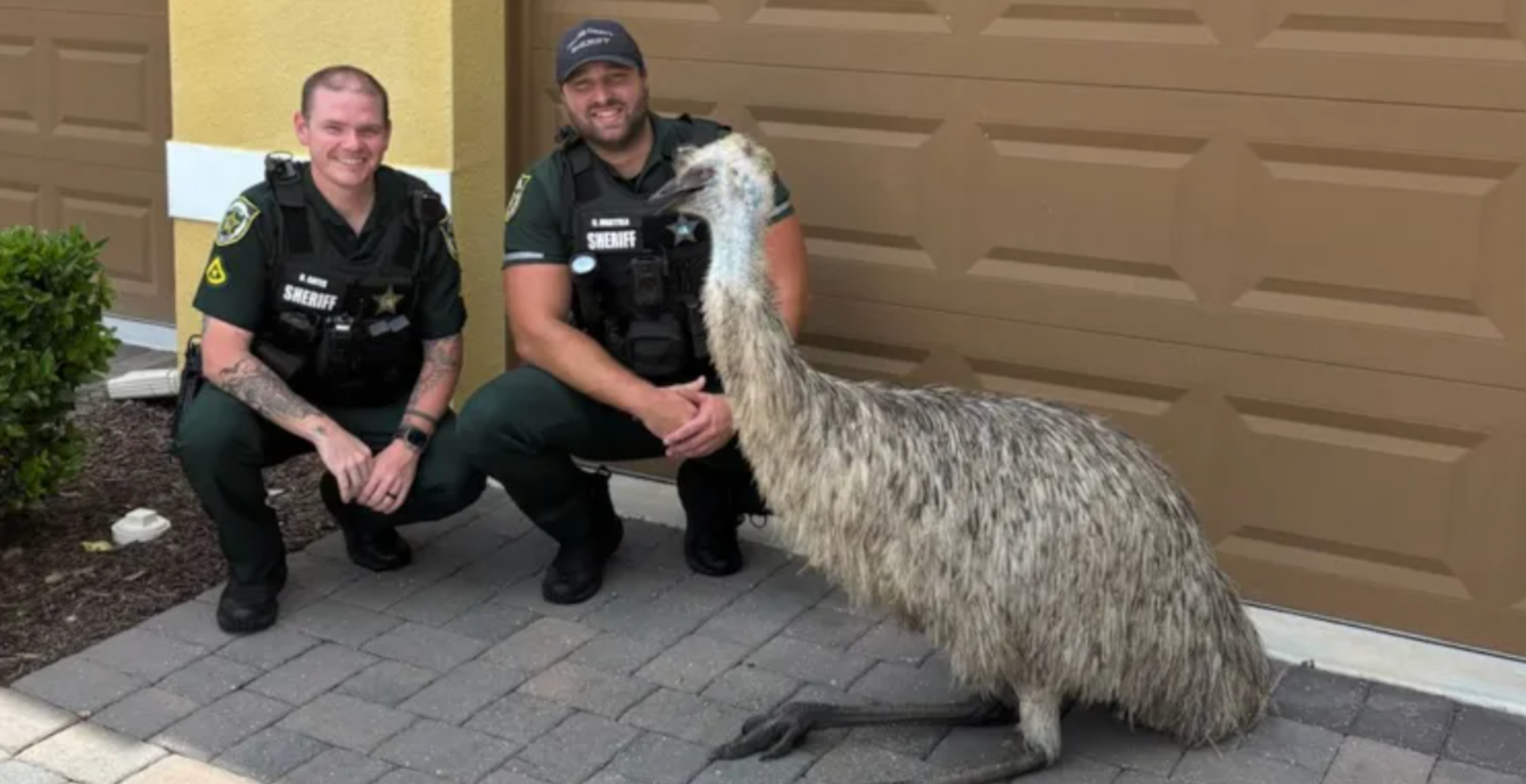 The Surprise Animal Rescue That Florida Cops Weren't Expecting