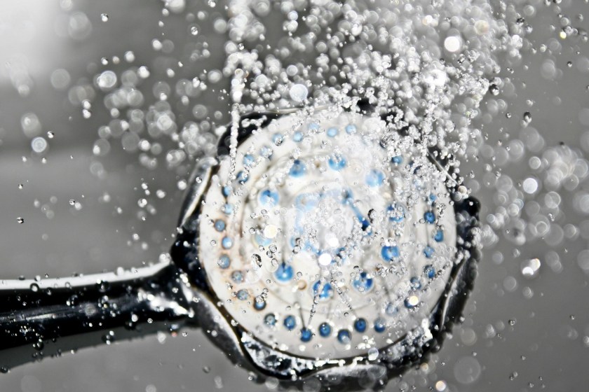 dirtiest places in your hotel room shower heads