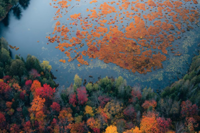 stunning photography