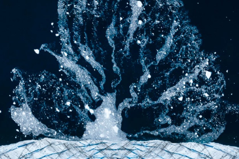 tree of ice