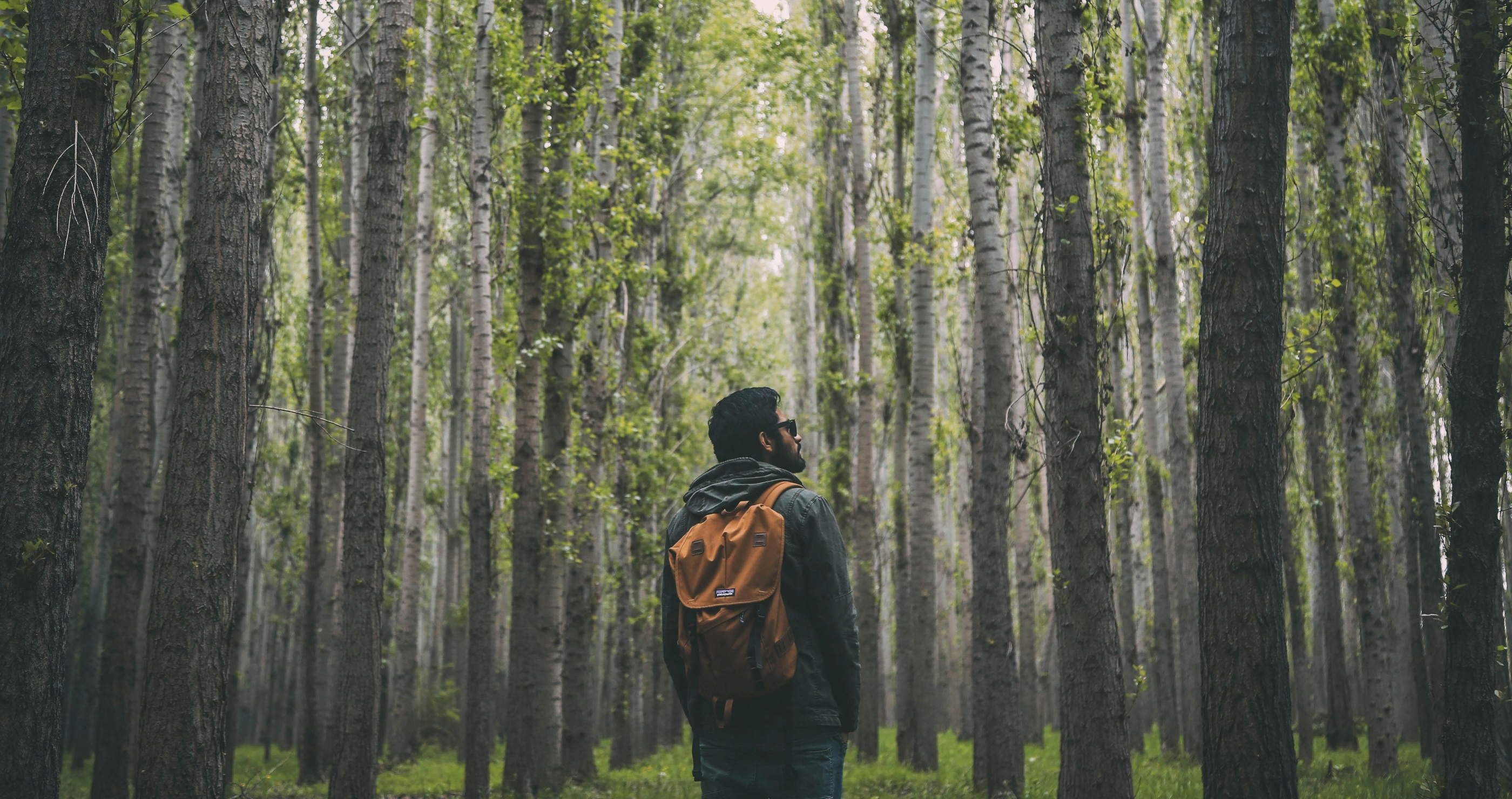 10 Animals You Should Watch Out For On A Hike And How To Prepare For Them