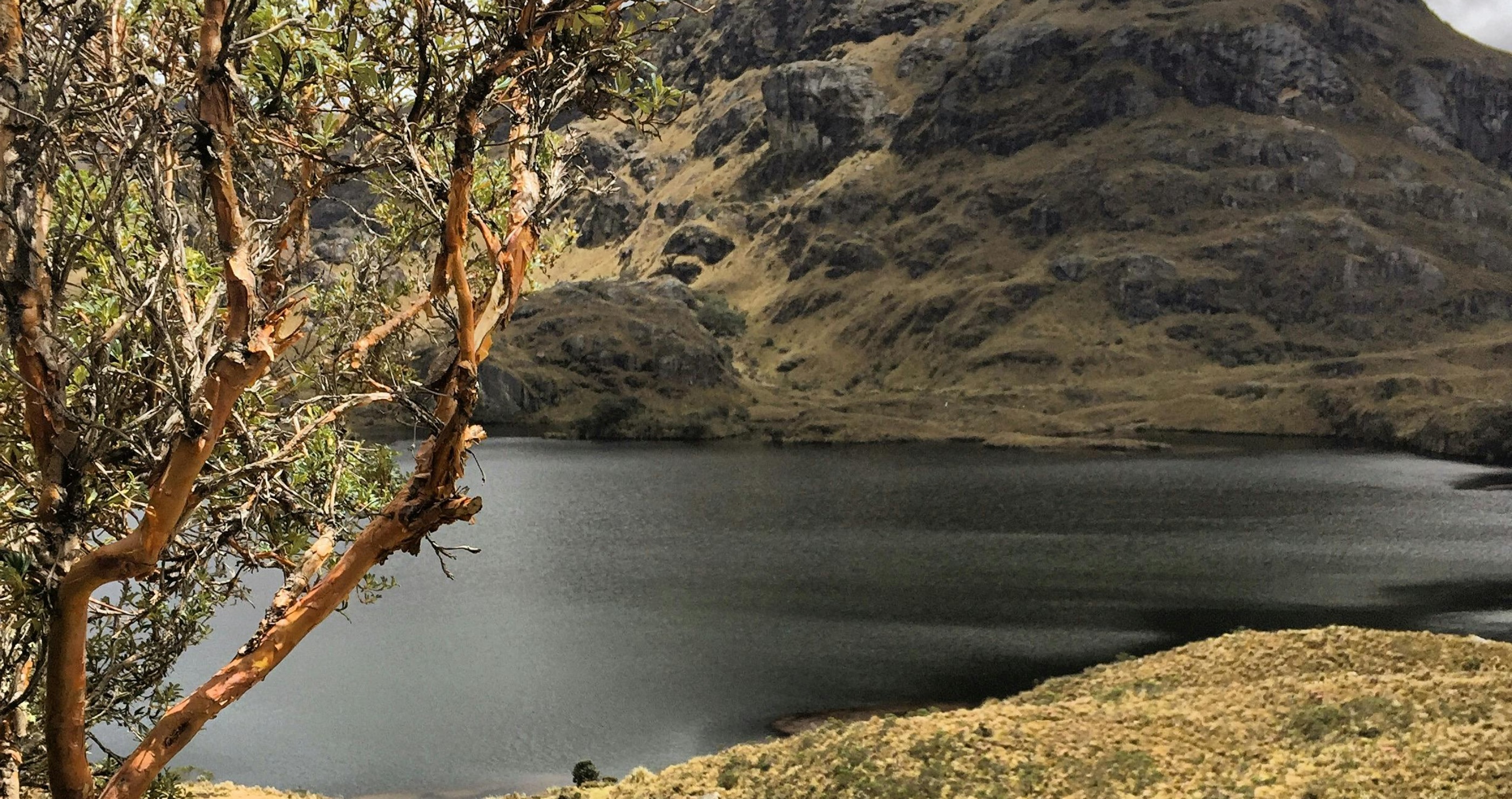 Ecuador's New Law Surrounding Protected Areas Sparks Debate