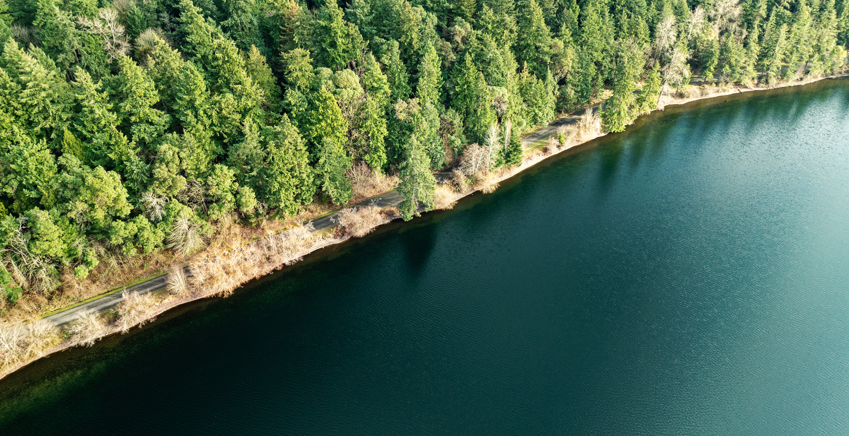Invasive Species With Teeth Found In Lake Washington