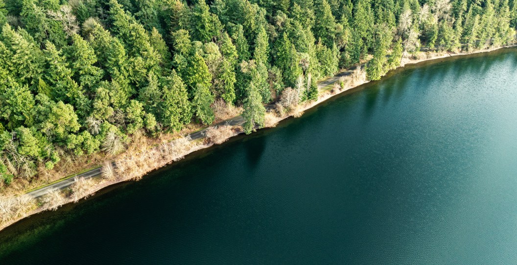 Invasive Species With Teeth Found In Lake Washington