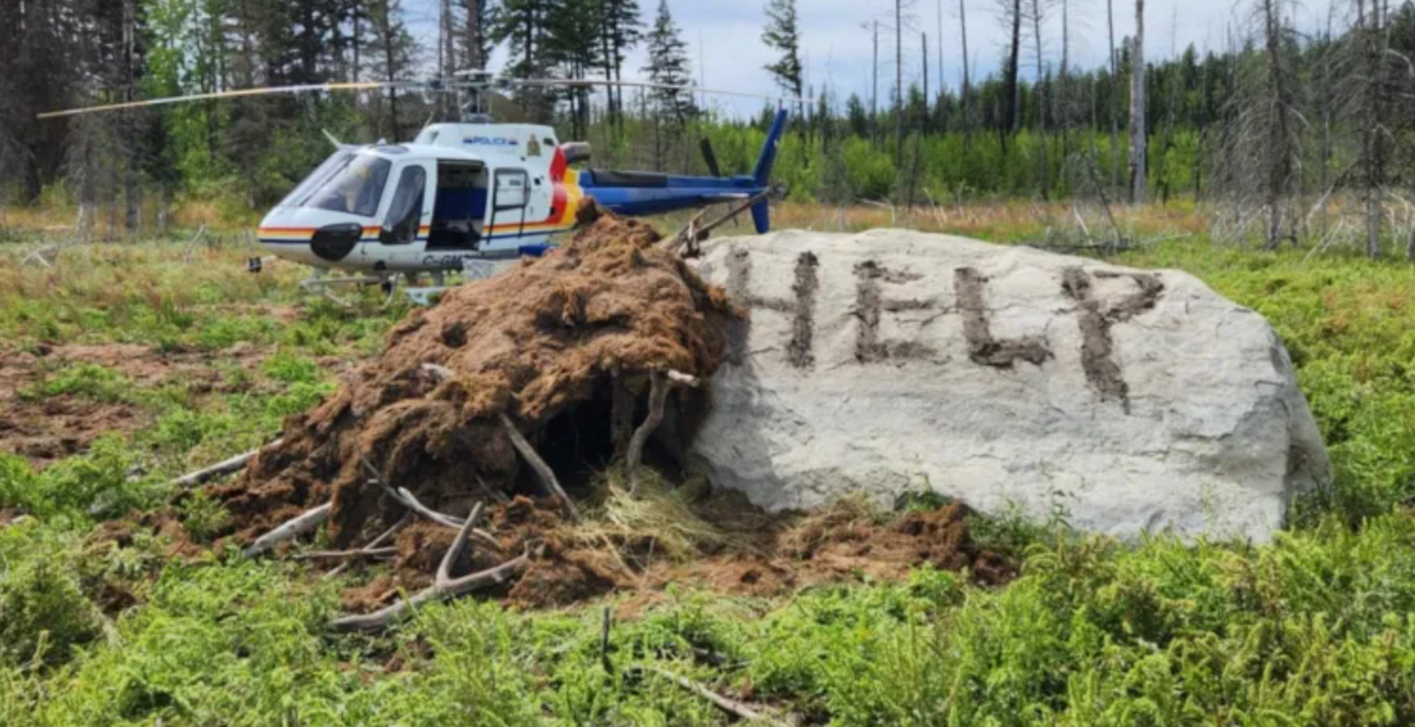 Man Survives For 9 Days In Canadian Wilderness By Drinking Unclean Pond Water