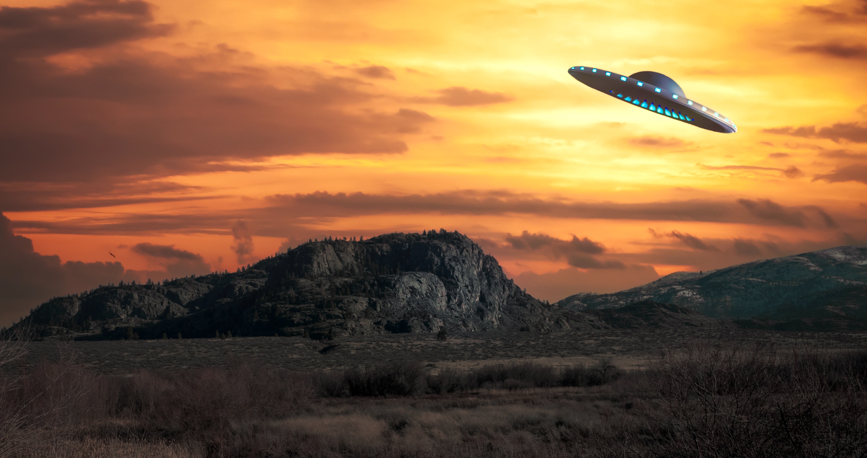 Parkgoers Spot UFO Over Disney