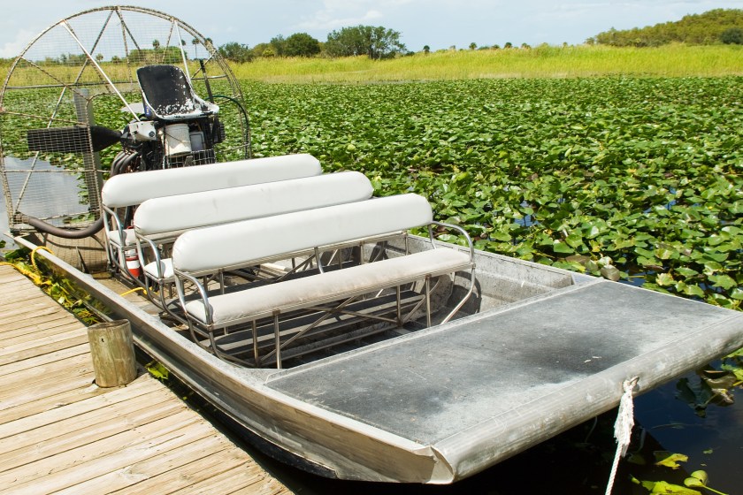 best places to encounter wildlife in the US Encounter Alligators In The Florida Wetlands
