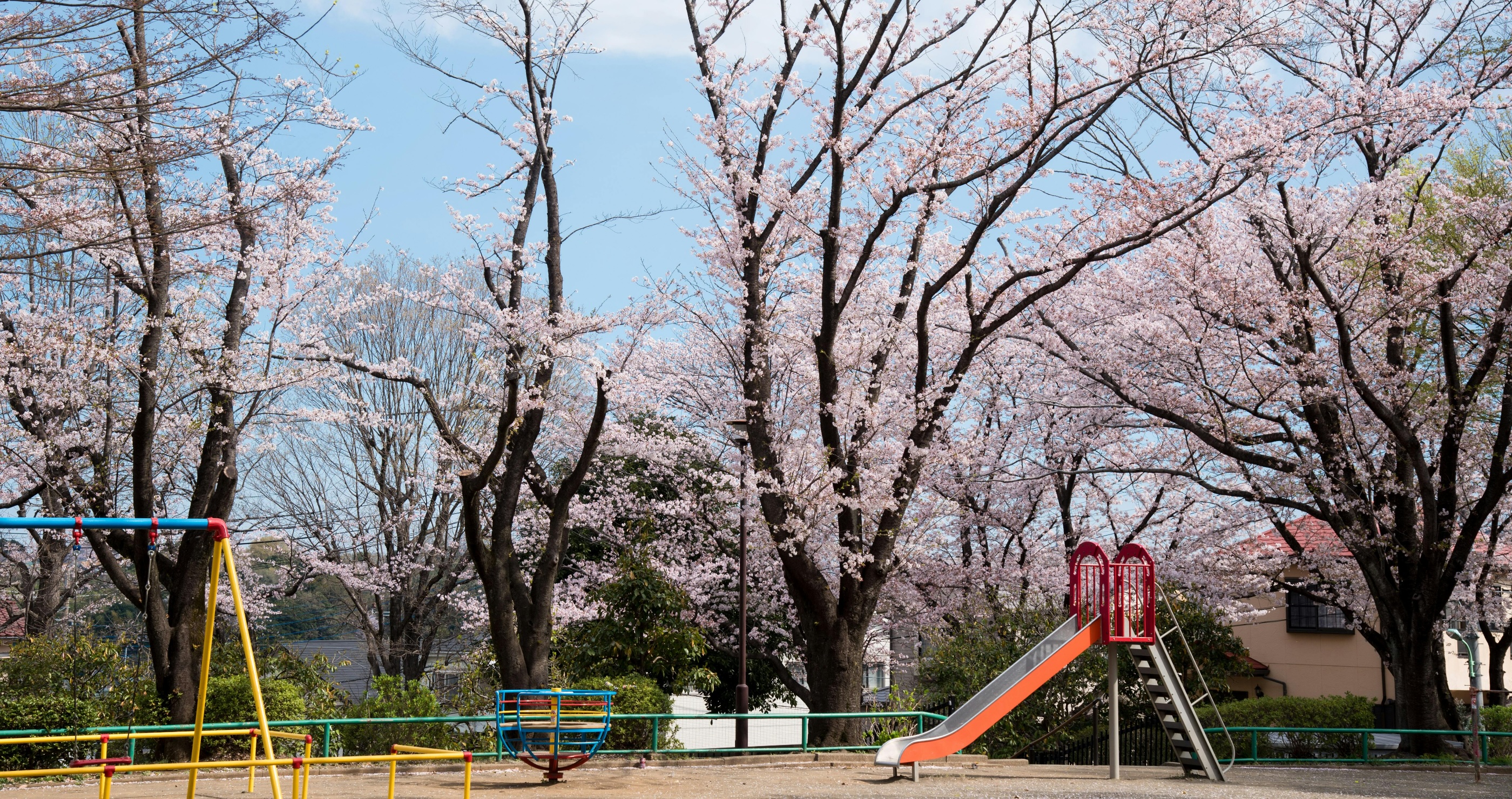 ways to get out in nature visit a park